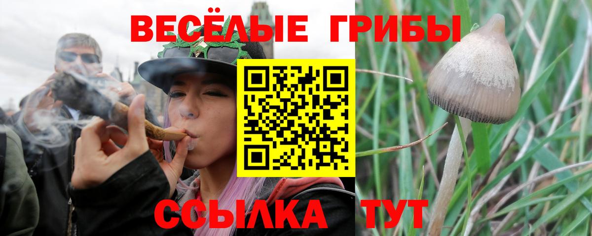 Псилоцибиновые грибы мухоморы Кыштым