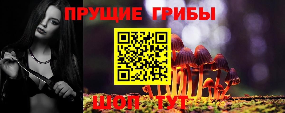 где купить наркоту  Галлюциногенные грибы прущие грибы  Вход с VPN  Кыштым 