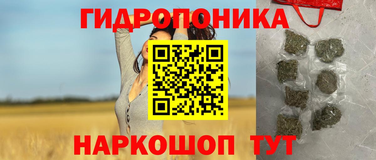 Марихуана гибрид  Марихуана OG Kush  Конопля план  Вход с VPN  МАРИХУАНА индика  Кыштым 